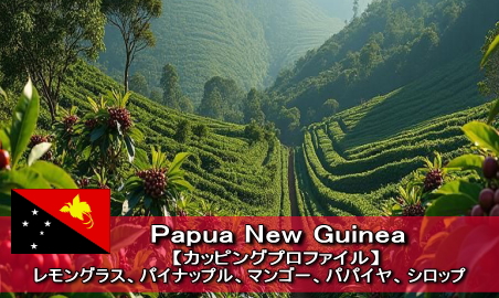 �p�s���A�j���[�M�j�A�É�����X�V�N�R�[�q�[���ʔ́@�����������������ɏ�X�y�V�����e�B������X�@���������É��g�N�i�K