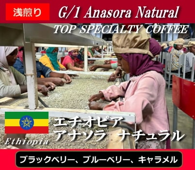 ÉR[q[蓤X@V܃gNiK@XyVeBɏ㎩R[q[q