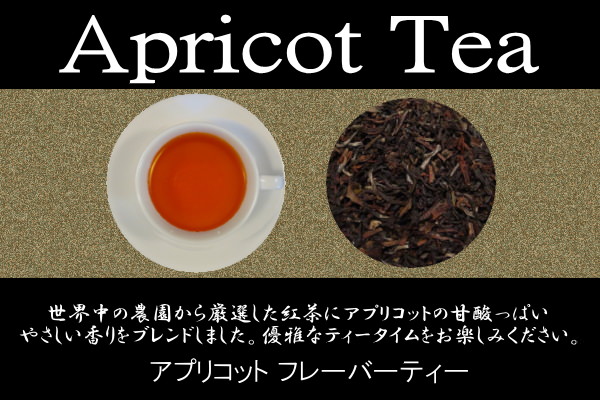 静岡紅茶専門店　静岡紅茶の高級ギフト本格派チャイ　とくなが徳永トクナガコーヒー