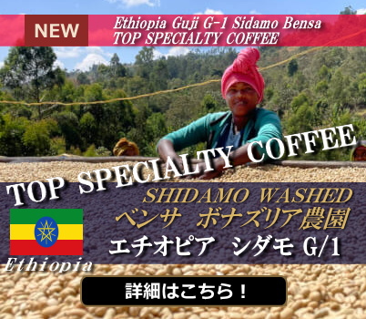 静岡コーヒー自家焙煎珈琲スペシャルティコーヒー専門販売店　美味しい人気話題こだわりトクナガとくなが極上製法老舗