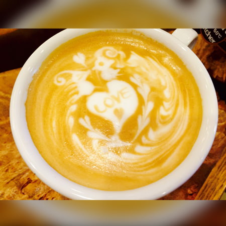 lC킢JCCeA[ĝ̌ACXN[latteart<h3>ÉR[q[X</h3>莩艤qigNiK艤q